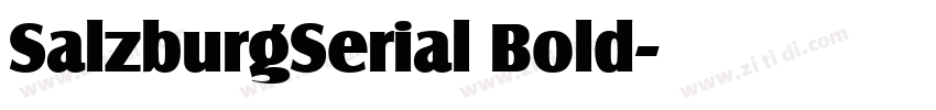 SalzburgSerial Bold字体转换 SalzburgSerial Bold字体转换